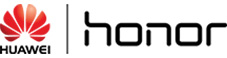 Honor Cup 2016