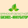 Обучающий семинар для социальных предпринимателей Брянской области