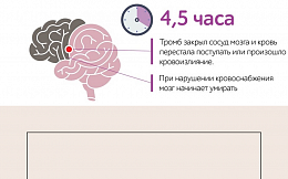 Проект «МОЗГ 4,5»
