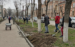 Студенты БГТУ приняли участие в мероприятиях  по благоустройству территории университета